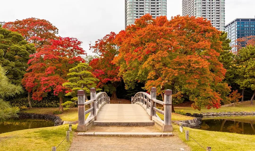 Why Visit Japan?