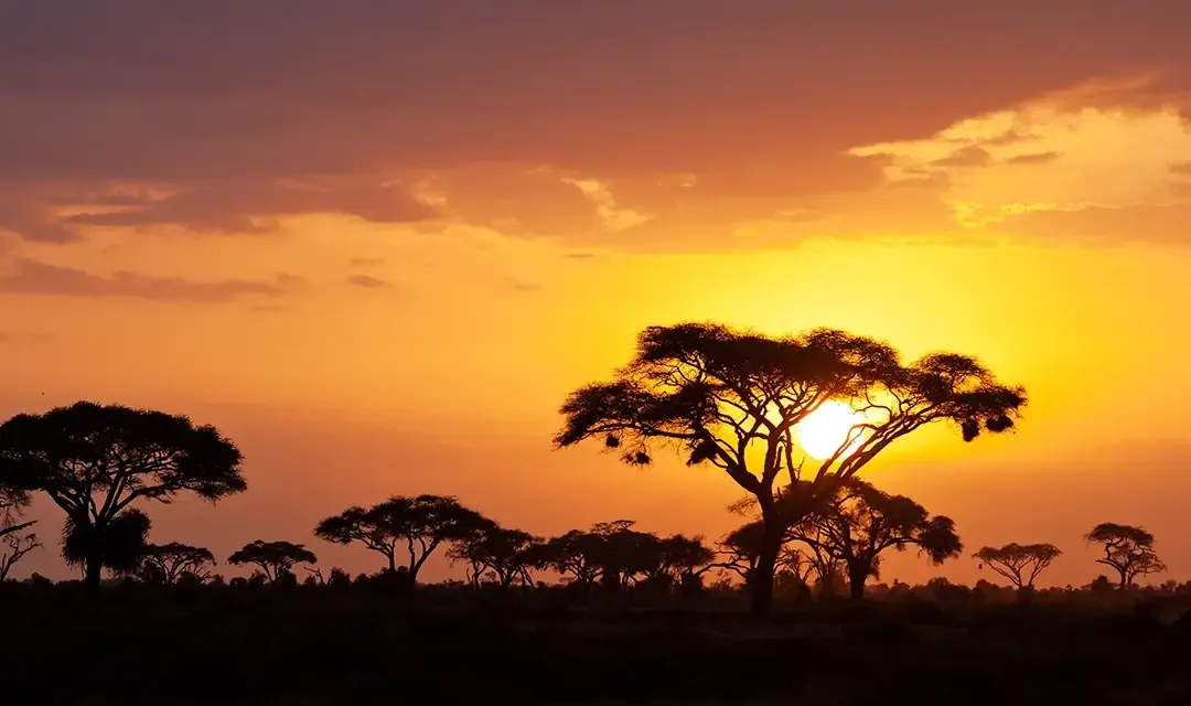 Why Visit Kenya?