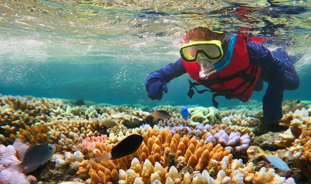The Great Barrier Reef