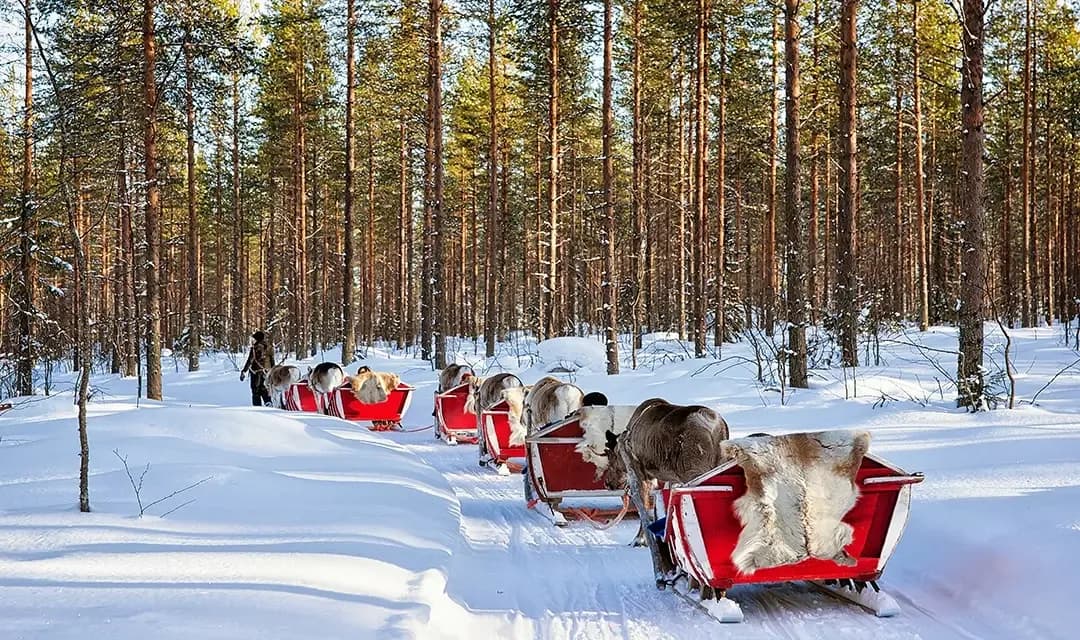 Finland Winter Family Fun