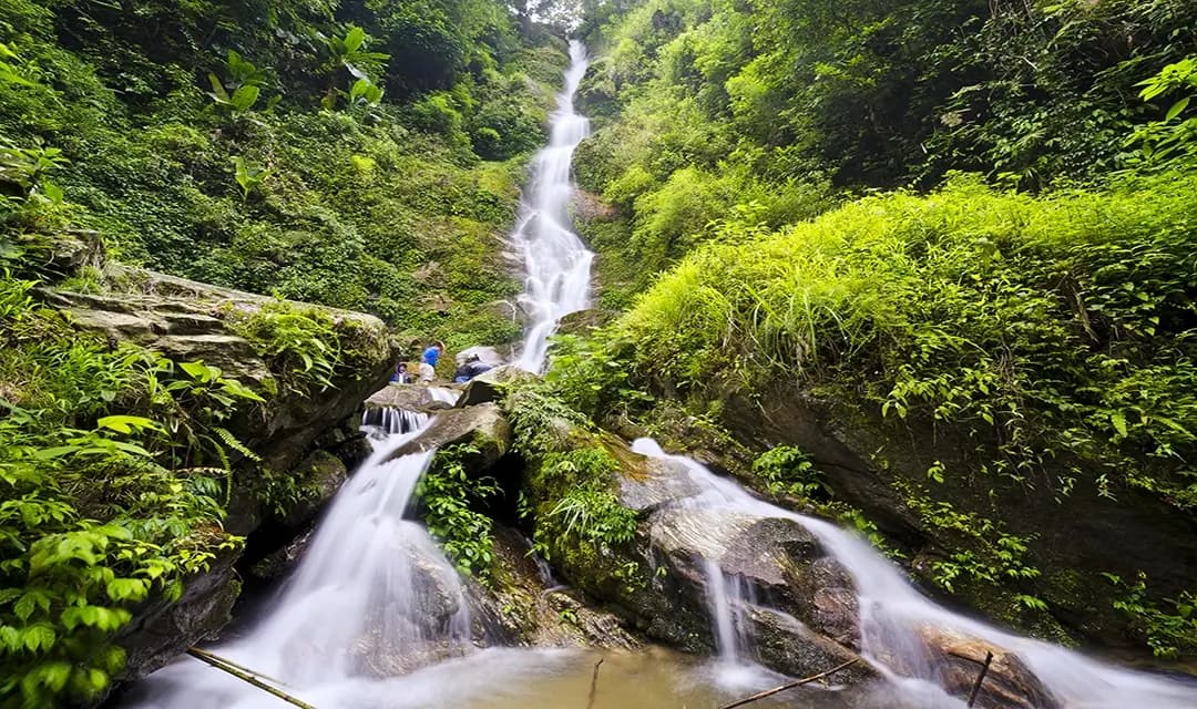Gangtok-Lachung-Pelling Tour