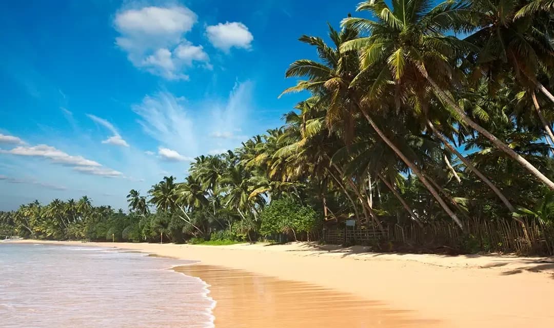 Colombo - Negombo