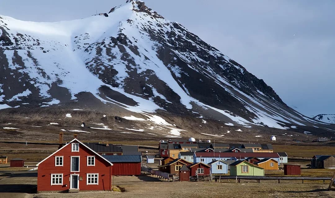 Arctic Cruise Delights