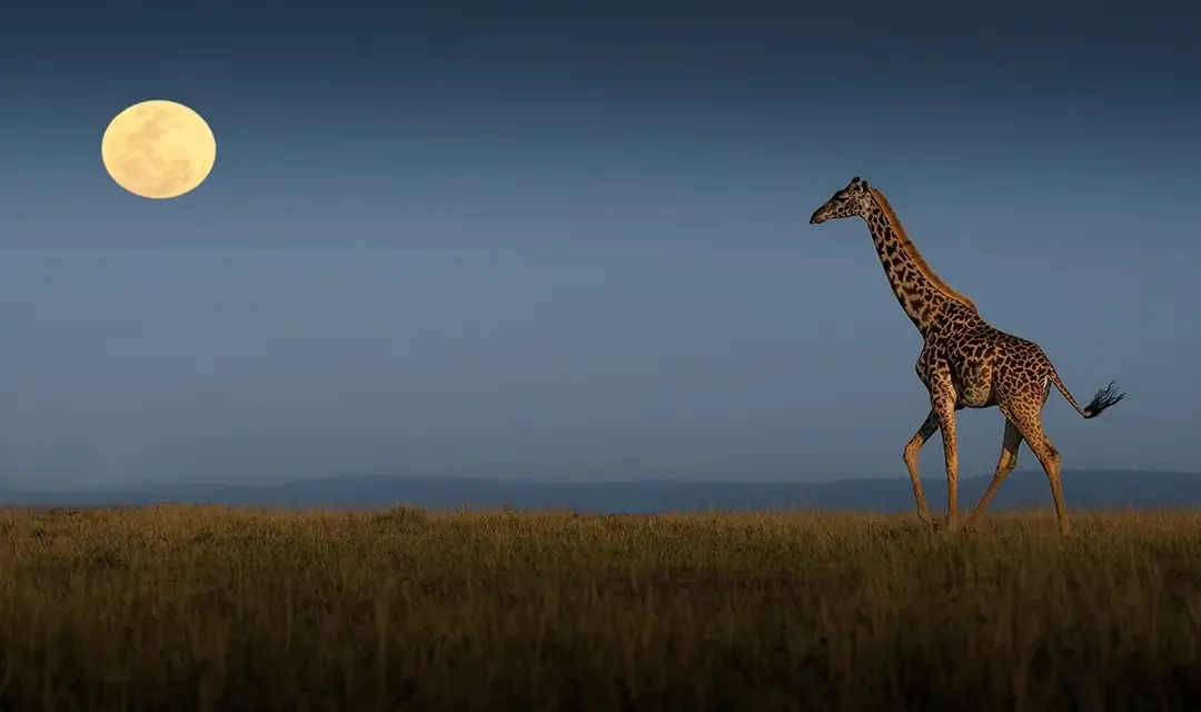 Nairobi