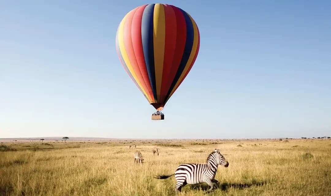 The Great Migration Safari