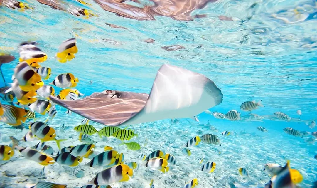 Why Visit French Polynesia?