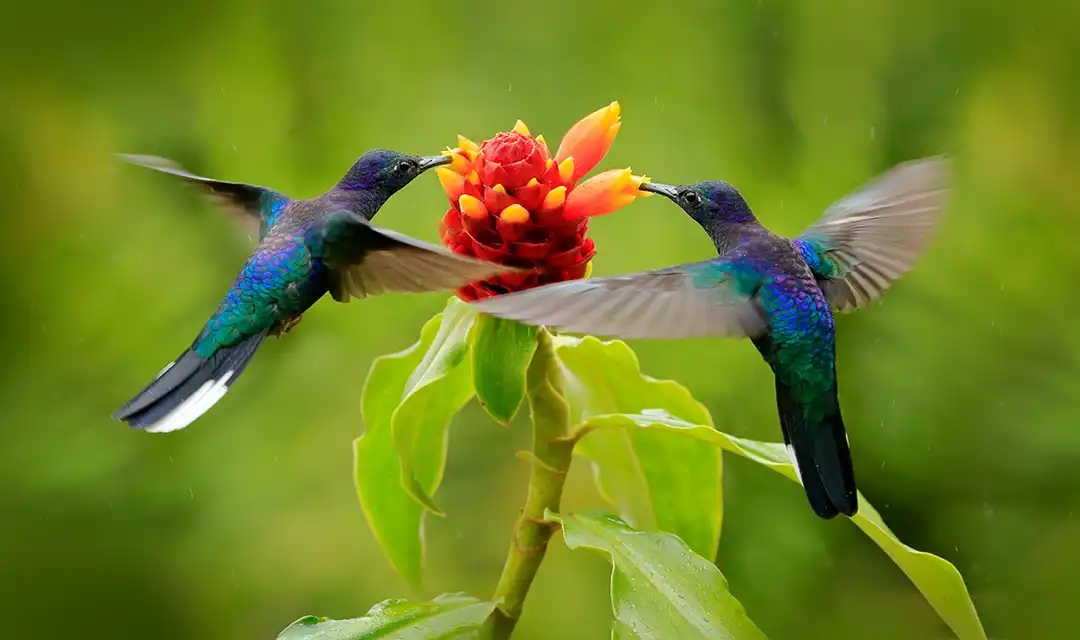 Tour highlight image