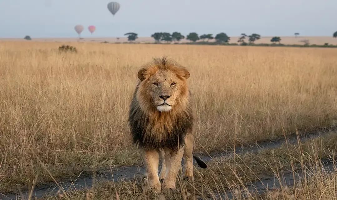 Why Visit Tanzania?
