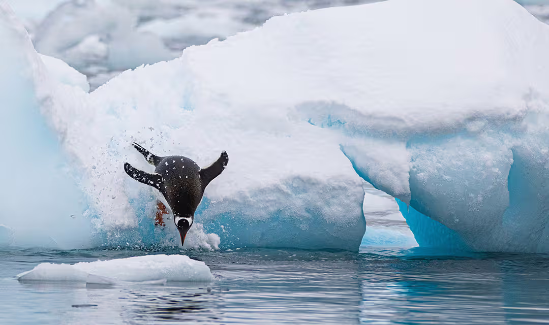 Antarctic Circle Crossings