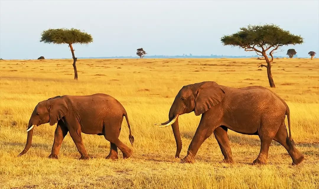 Tour highlight image