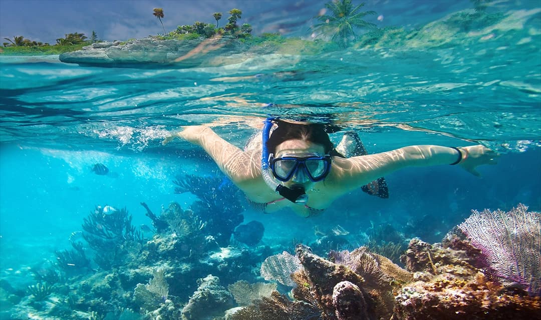 Belize Reef & Rainforest Tour
