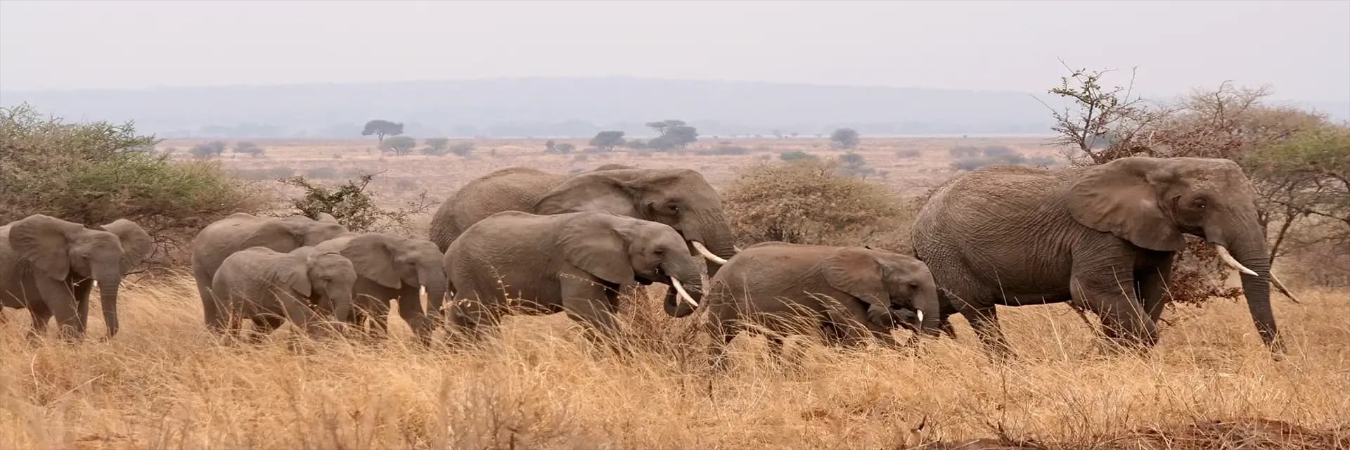 Tanzania